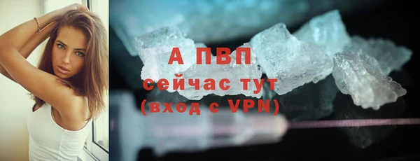 мяу мяу мука Магадан