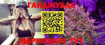 трава Гатчина