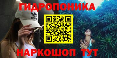 трава Гатчина