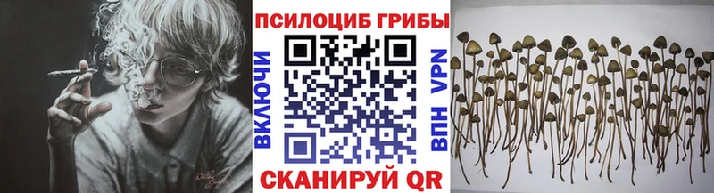 Галлюциногенные грибы Magic Shrooms  Топки 