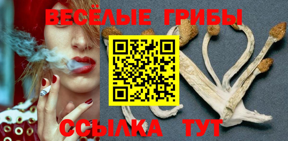 Галлюциногенные грибы Топки