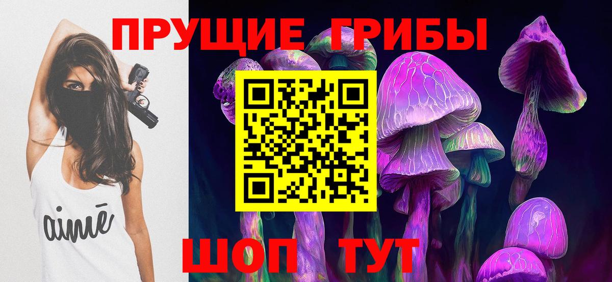 Галлюциногенные грибы Psilocybine cubensis  Вход с VPN  Псилоцибиновые грибы Psilocybe  Топки 